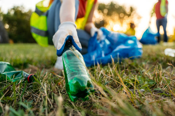 Yard Cleanup Services in Stafford, OR